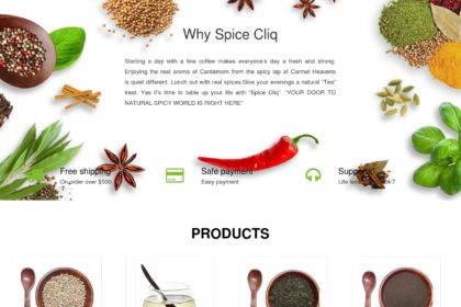Ecommerce Website  Spices